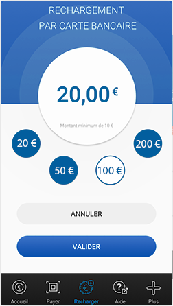 HISTORIQUE DES TRANSACTIONS ET SYNTHÈSE DES REVENUS